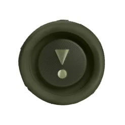 JBL Flip 6 Portabel trådlös högtalare Grön