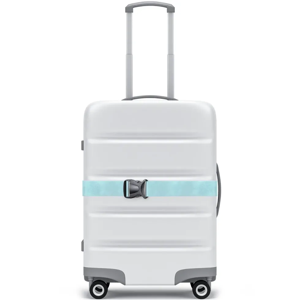 Luxorparts Bagageremmar 2-pack