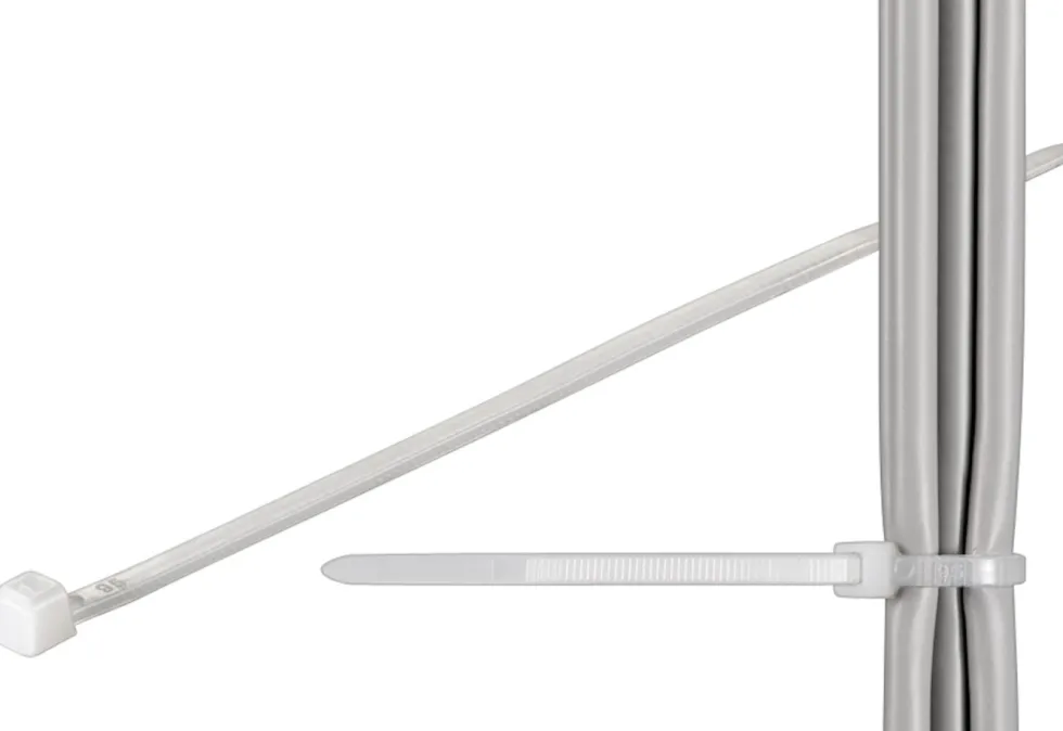 Luxorparts Buntband 100x2,5 mm 100-pack Transparent