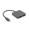 Luxorparts USB-C till dubbla Displayport