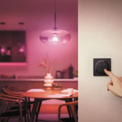 Philips Hue Tap Dial Switch Fjärrkontroll Svart