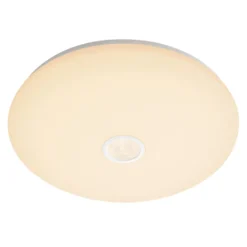 Philips Mauve LED-taklampa med rörelsesensor 16 W Vit