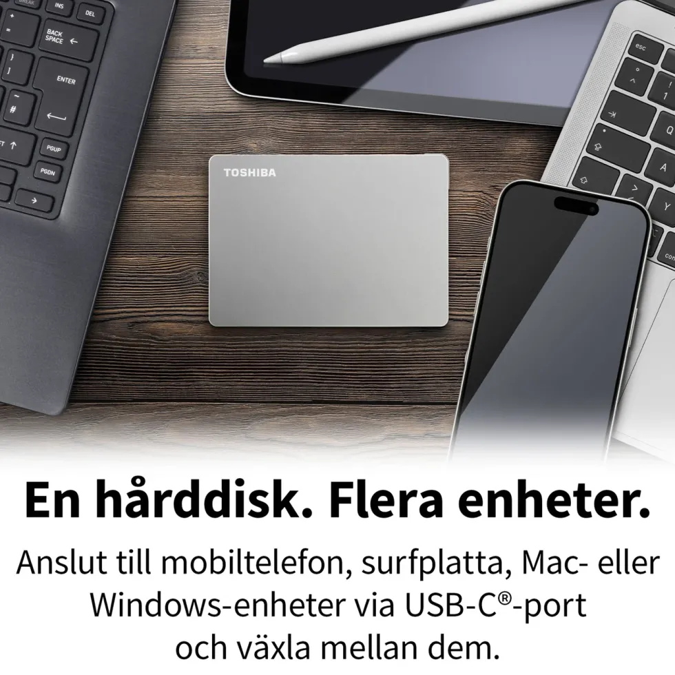 Toshiba Canvio Flex Silver 2 TB