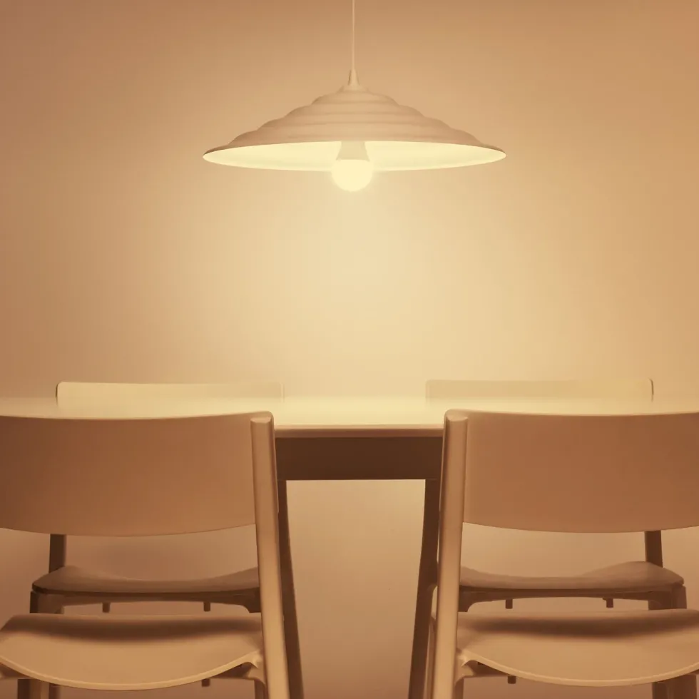 WiZ Color High Lumen A80 Smart LED-lampa E27 2452 lm