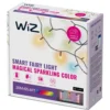 WiZ Smart LED-ljusslinga 20 m